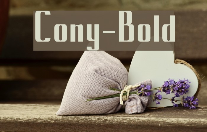 Cony-Bold Font examples