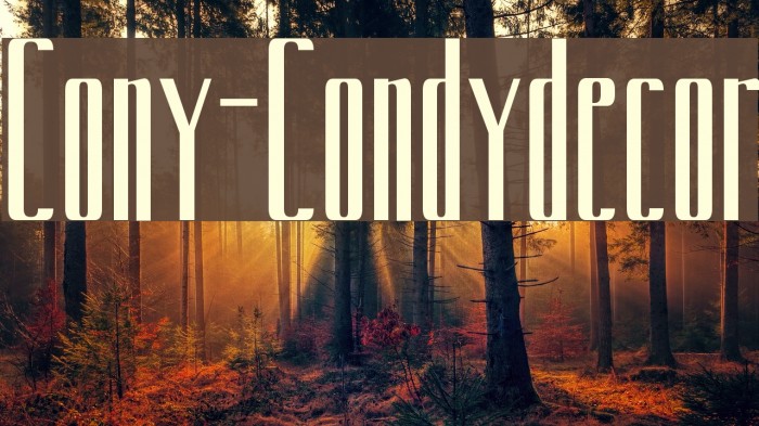 Cony-Condydecor Font examples