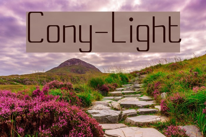 Cony-Light Font examples