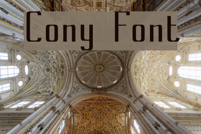 Cony Font examples