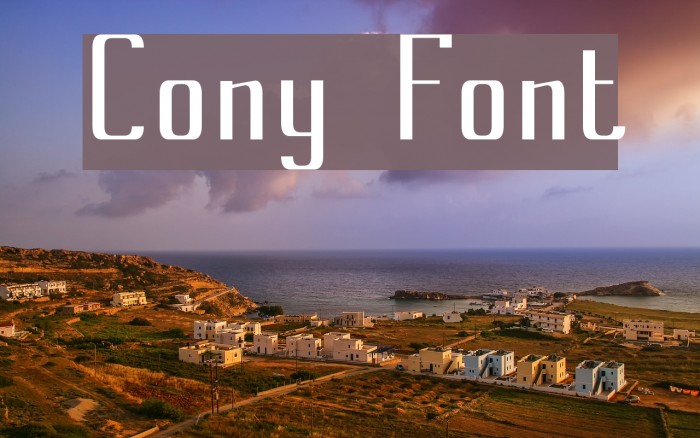 Cony Font examples