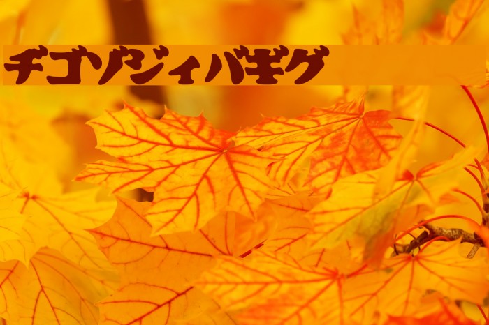 CooberBlackKat Font examples