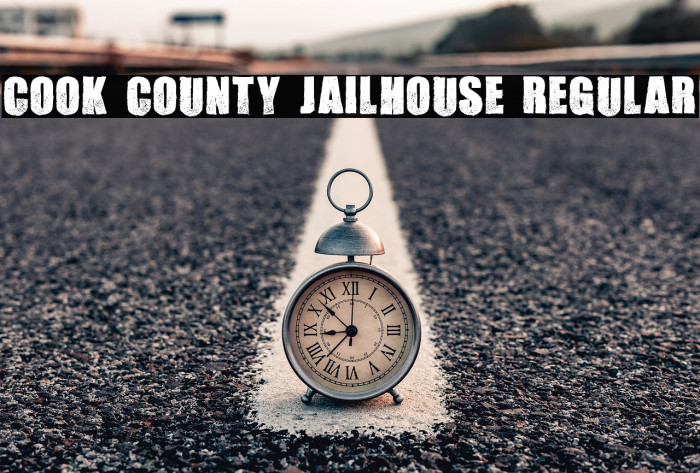 Cook County Jailhouse Regular Font examples