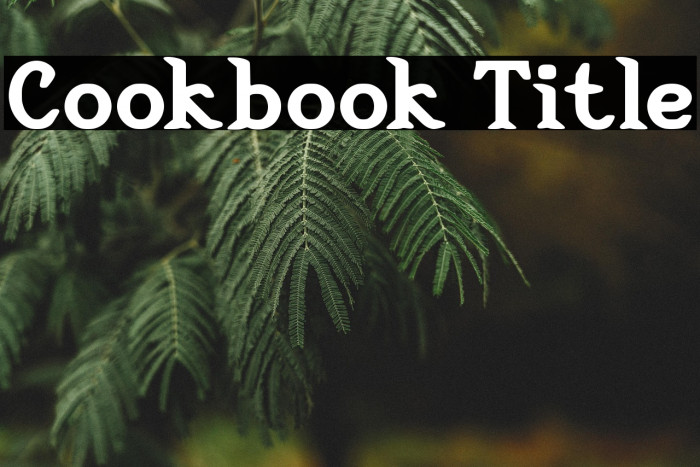 Cookbook Title Example 3