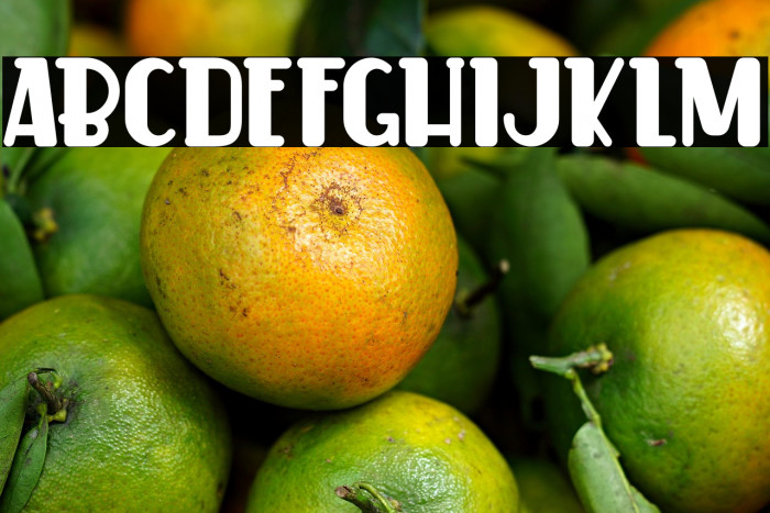 CookerCakeDemo Example 2