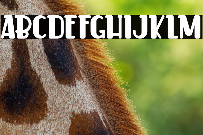 CookerCakeDemo Example 3