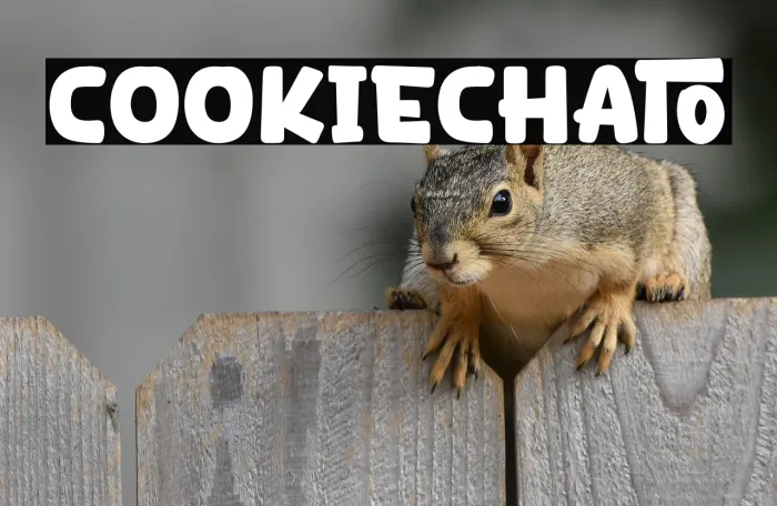 Cookie Chlato Example 2