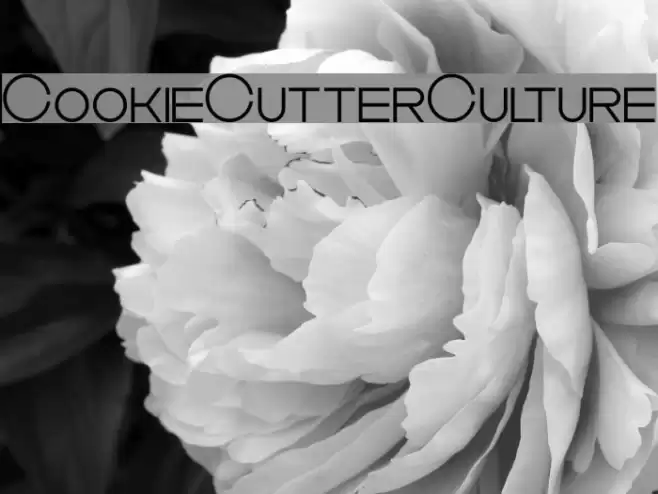 CookieCutterCulture Font examples