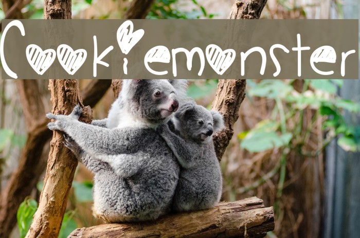 CookieMonster Font examples