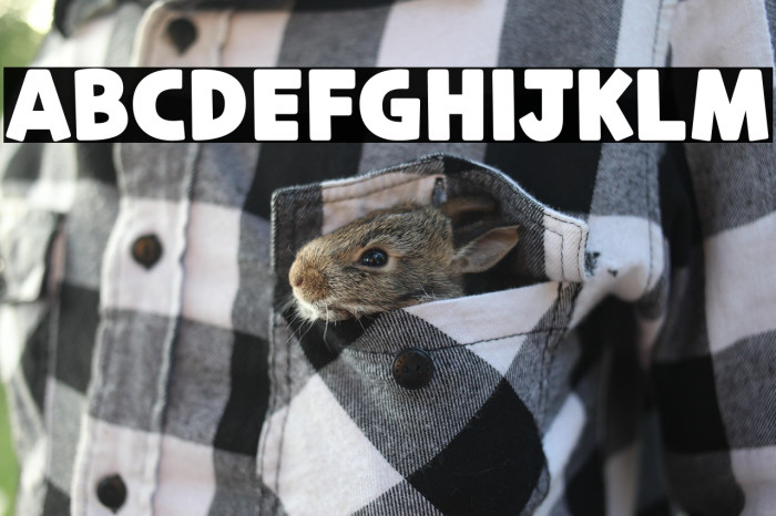 CookieRunOTF Black Example 3