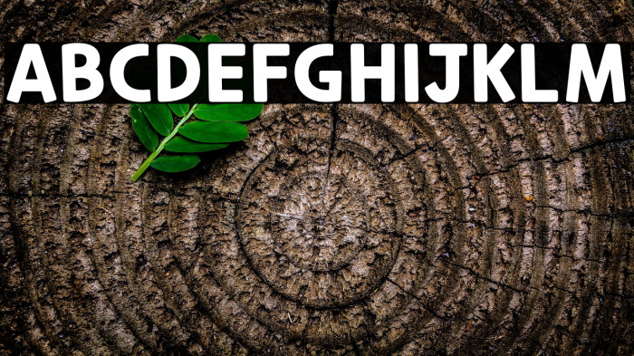 CookieRunOTF Bold Example 1