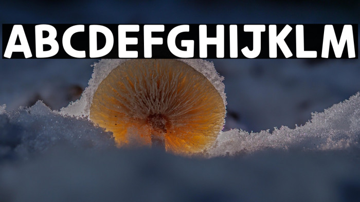 CookieRunOTF Bold Example 2