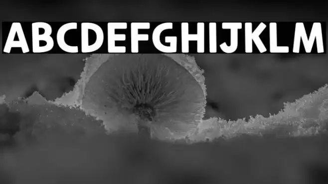 CookieRunOTF Bold फ़ॉन्ट examples