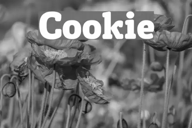 Cookie Font examples
