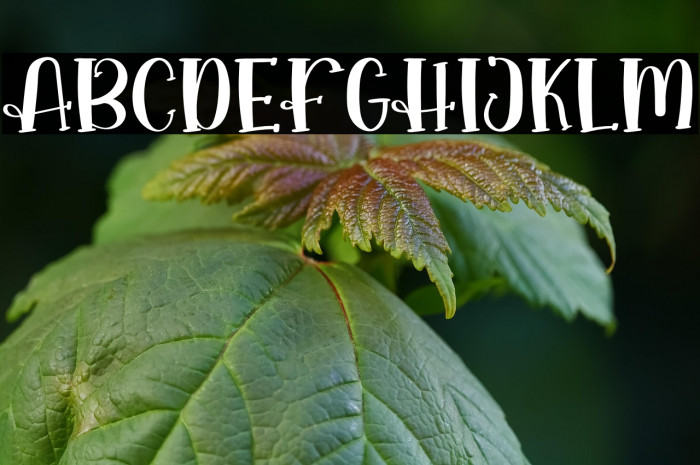 Cookies And Cream Example 1