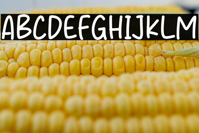 Cookies Magis Example 1