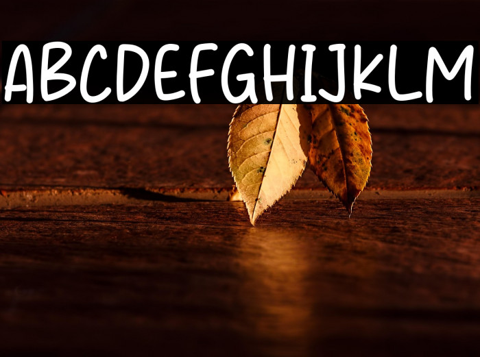 Cookies Magis Example 3