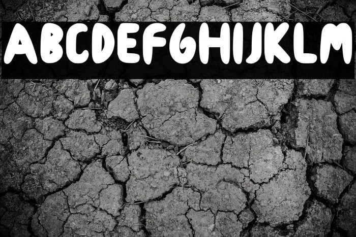 Cookies Roma Regular Example 1