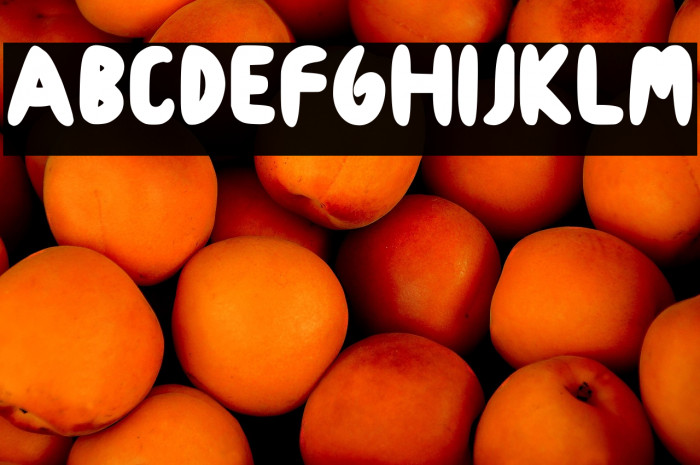 Cookies Roma Regular Example 3