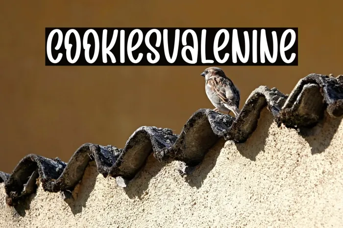 Cookies Valentine Example 1