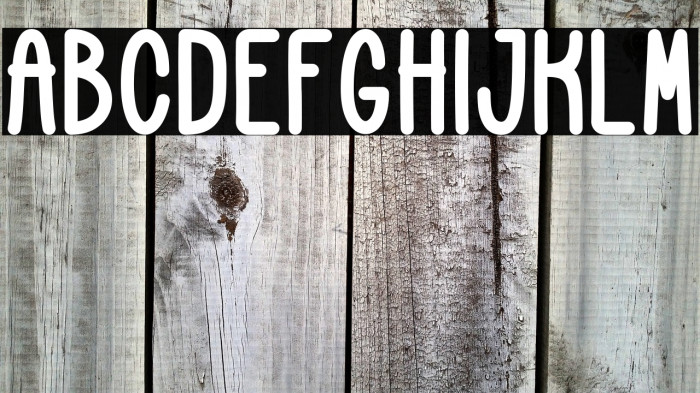 Cookies and Cheese Bold Example 2