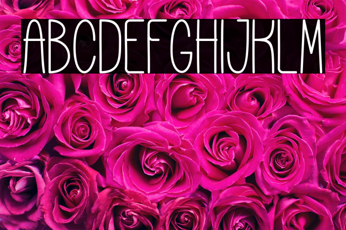 Cookies and Cheese Thin Example 3