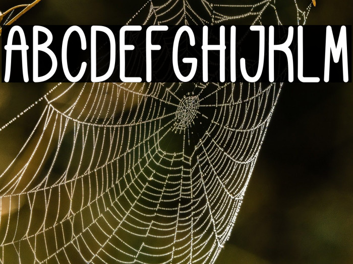 Cookies and Cheese Example 2