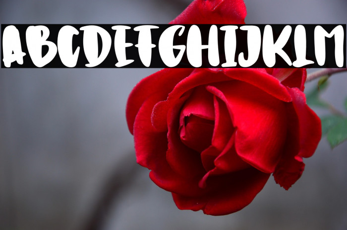 CookiesSweet-Regular Example 2