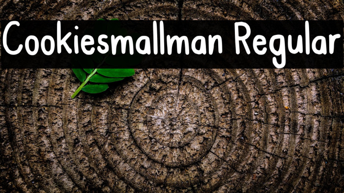 Cookiesmallman Regular Example 3