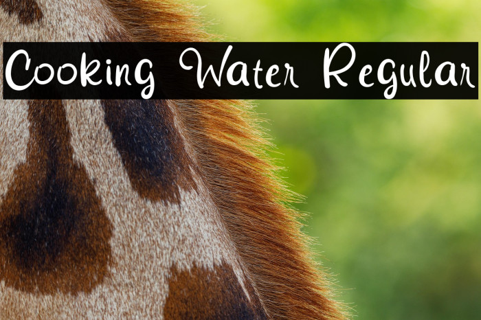 Cooking Water Regular Example 1