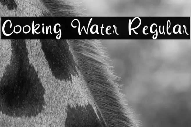 Cooking Water Regular Font examples