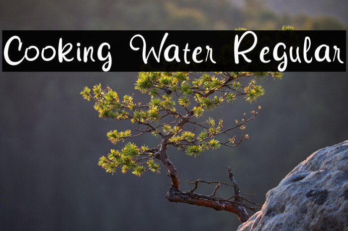 Cooking Water Regular Example 3