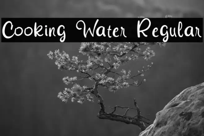 Cooking Water Regular Font examples