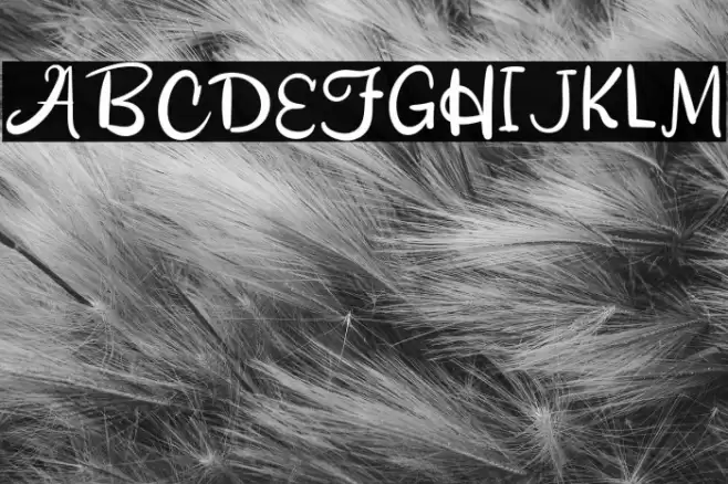 CookingWater-Regular Font examples