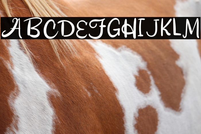 CookingWater-Regular Example 2