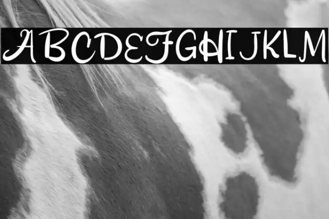 CookingWater-Regular Font examples