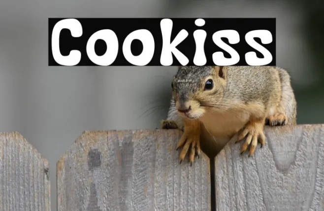 Cookiss Example 1