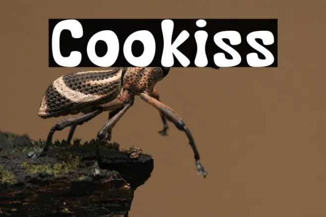 Cookiss Example 2