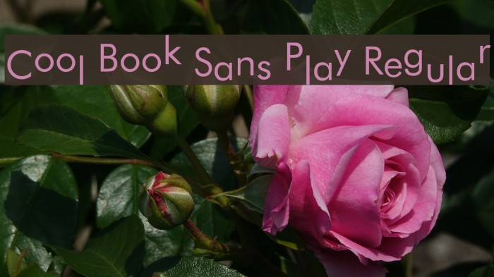 Cool Book Sans Play Regular Font examples