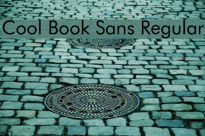 Cool Book Sans Regular Polices examples