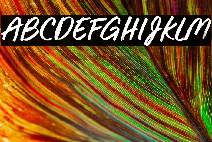 Cool Breeze Example 3