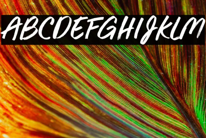 Cool Breeze Example 3