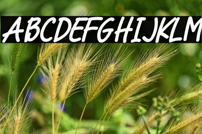 Cool Cat Italic Example 1