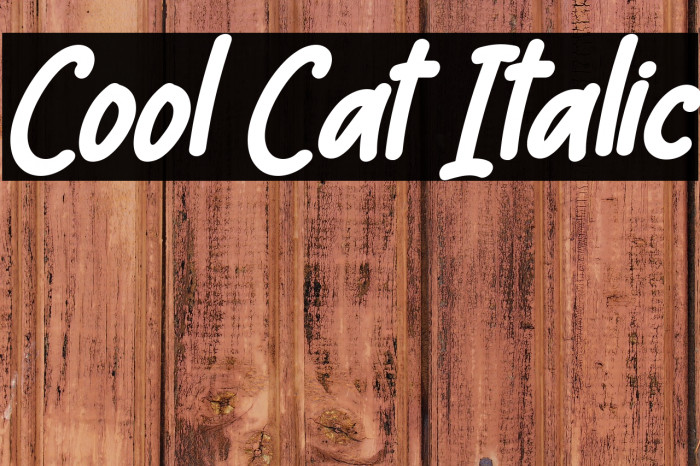 Cool Cat Italic Example 2