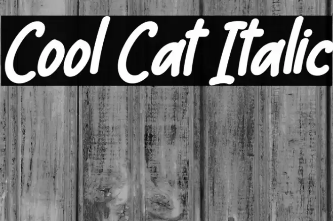 Cool Cat Italic Font examples