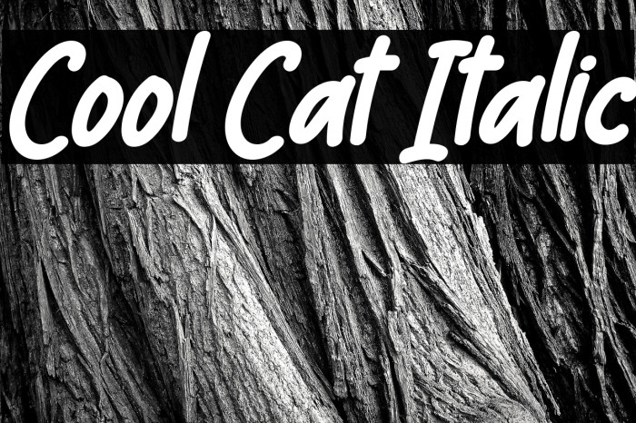 Cool Cat Italic Example 3
