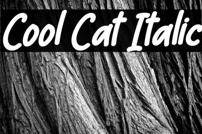 Cool Cat Italic Font examples