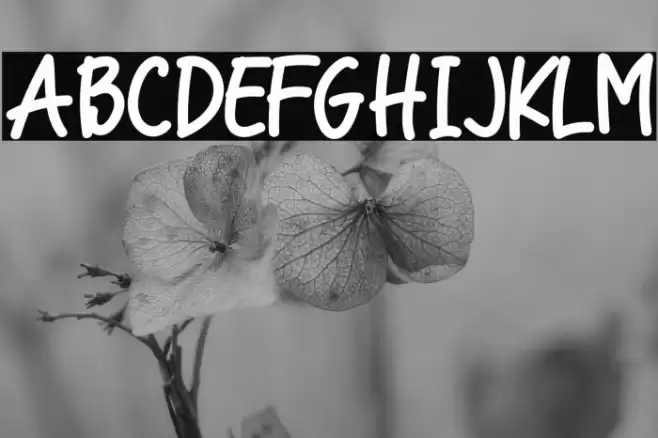 Cool Cat Font examples