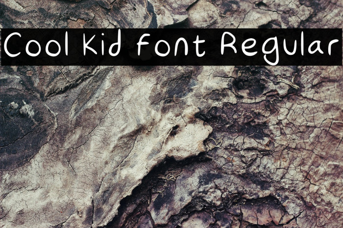 Cool Kid Font Regular Example 3