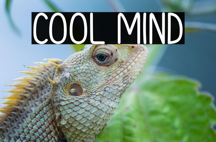 Cool Mind Example 1